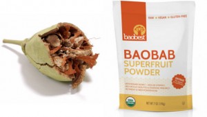 Baobab-Foods-predicts-baobab-will-explode-in-the-US-beverage-industry_strict_xxl