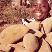 Baobab superfruit gains traction for digestive health and sports nutrition
